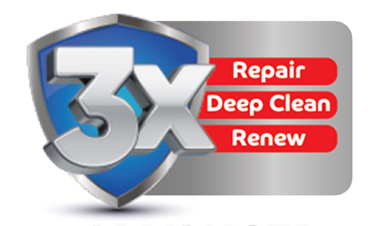 Puredent 3X emblem